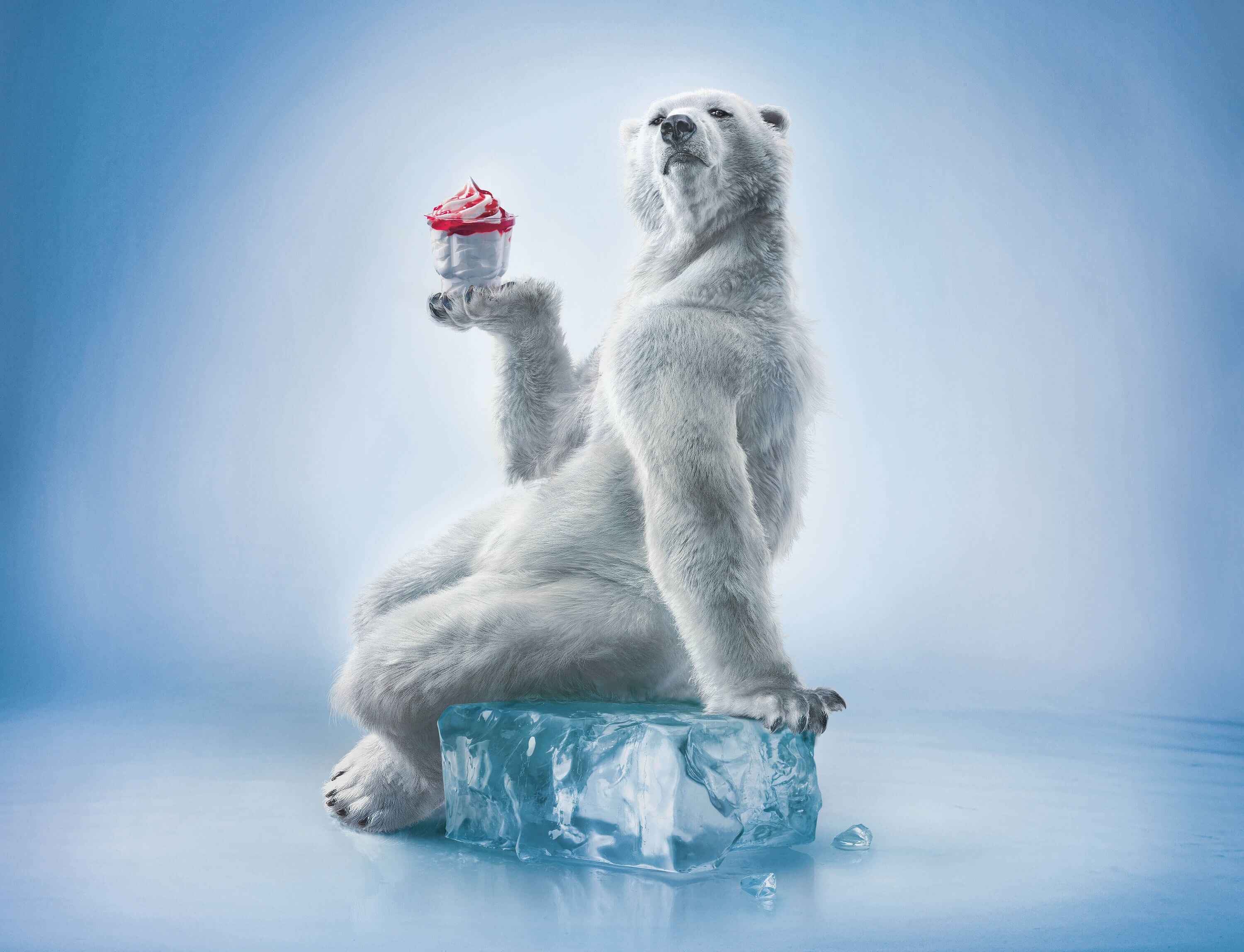 Mcdonalds Ice